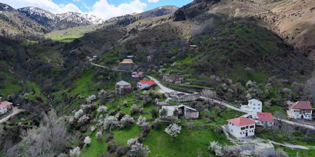 2 zıt beyaz aynı tepede buluştu! Gümüşhane’nin yüz yıllık mirası göz doldurdu 4